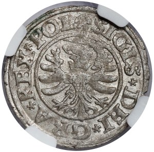 Sigismond Ier le Vieux, le Shelagus de Gdansk 1530 - beau