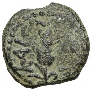 Judaea, Marek Ambibulus (9-12 n.e.) Prutah, Jerozolima