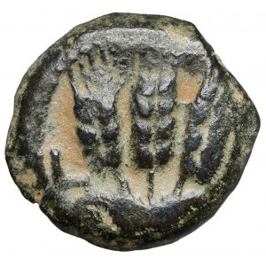 Judaea, Agryppa I (37-44 n.e.) Prutah, Jerozolima