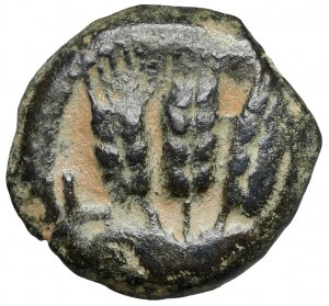 Judée, Agrippa Ier (37-44 apr. J.-C.) Prutah, Jérusalem