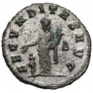 Salonina (253-268 n.e.) Antoninian, Rzym - b.ładny