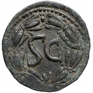 Domicjan (81-96 n.e.) AE30, Antiochia - Duży