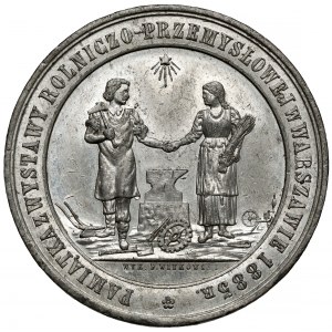 Medal, Wystawa Rolniczo-Przemysłowa w Warszawie 1885