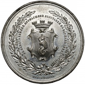 Medal, Wystawa Rolniczo-Przemysłowa w Warszawie 1885