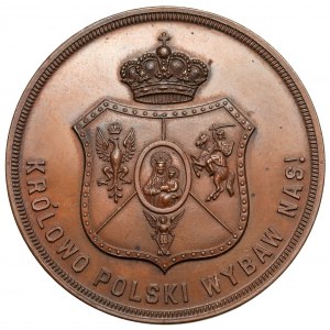 Medal 1891 - 100. rocznica Konstytucji 3 Maja - Pittsburgh