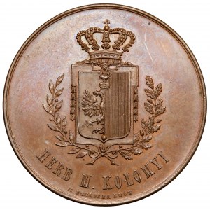 Medal, Wystawa Etnograficzna w Kołomyi 1880