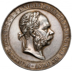 Medal, Nagrodowa Honorowa Cesarsko-Królewskiego Ministerstwa Handlu - Powszechna Wystawa Krajowa we Lwowie 1894