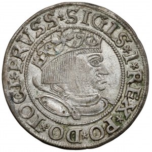 Zygmunt I Stary, Grosz Toruń 1533