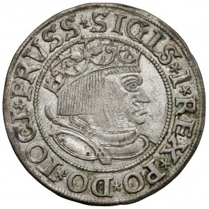 Sigismond Ier le Vieux, Grosz Toruń 1533