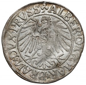 Prusse, Albrecht Hohenzollern, Grosz Königsberg 1544 - barbe large