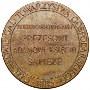 Medal, Adam Sapieha - dla uczczenia zasług księcia 1885