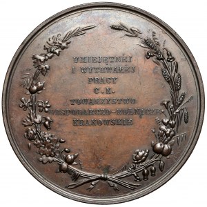 Medal Towarzystwo Gospodarczo-Rolnicze w Krakowie (Radnitzky)
