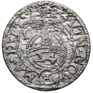 Zygmunt III Waza, Półtorak Wilno 1619 - Wadwicz w otoku