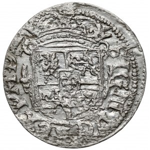 Zygmunt III Waza, Półtorak Wilno 1619 - Wadwicz w otoku