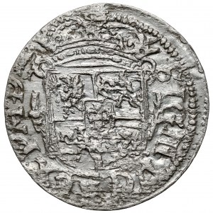 Sigismond III Vasa, Półtorak Vilnius 1619 - Wadwicz dans la bordure