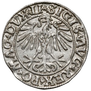 Zygmunt II August, Półgrosz Wilno 1550