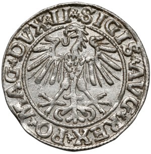 Sigismond II Auguste, demi-penny Vilnius 1550