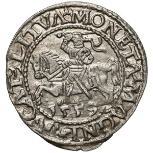 Zygmunt II August, Półgrosz Wilno 1559