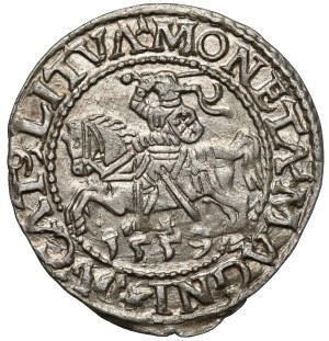 Sigismond II Auguste, demi-penny Vilnius 1559 - A sans barre