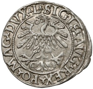 Sigismond II Auguste, demi-penny Vilnius 1559 - A sans barre