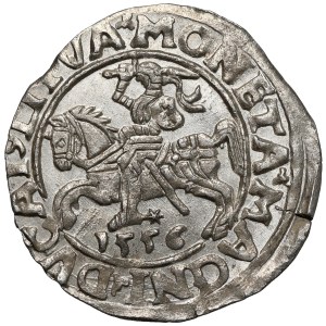 Zygmunt II August, Półgrosz Wilno 1556