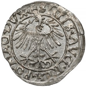 Zygmunt II August, Półgrosz Wilno 1556