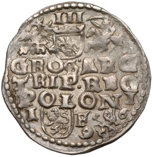 Sigismond III Vasa, Trojak Lublin 1596