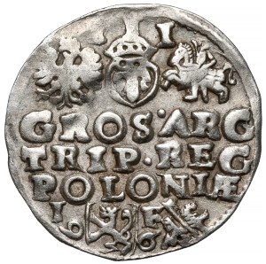Sigismond III Vasa, Trojak Lublin 1596 - date de Lewart