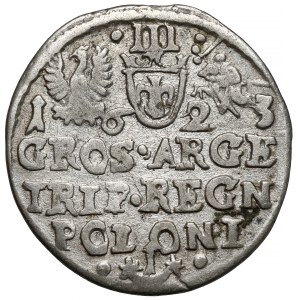 Zygmunt III Waza, Trojak Kraków 1623