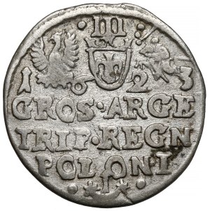Sigismond III Vasa, Trojak Kraków 1623