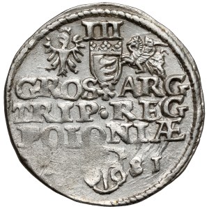 Stefan Batory, Trojak Olkusz 1581