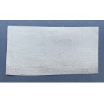 Powstanie Styczniowe, Obligacja tymczasowa 100 złotych 1863