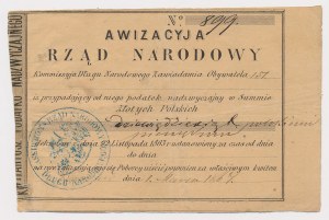 Revision of the National Government 1864