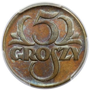 5 groszy 1923