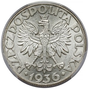 Żaglowiec 5 złotych 1936
