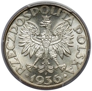 Voilier 2 or 1936
