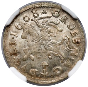 Sigismund III Vasa, Penny Vilnius 1608