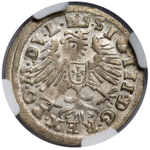 Zygmunt III Waza, Grosz Wilno 1608