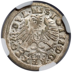Sigismund III Vasa, Penny Vilnius 1608