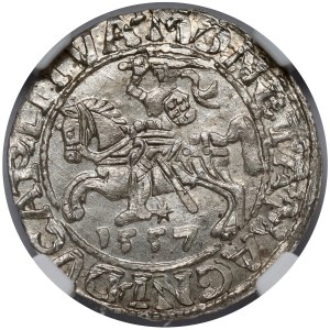Zygmunt II August, Półgrosz Wilno 1557