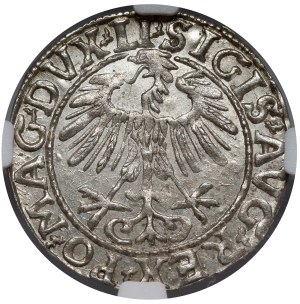 Sigismond II Auguste, demi-penny Vilnius 1557