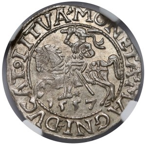 Zygmunt II August, Półgrosz Wilno 1557