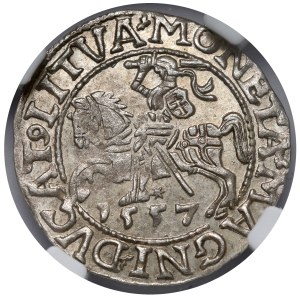 Sigismond II Auguste, demi-penny Vilnius 1557