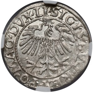 Zygmunt II August, Półgrosz Wilno 1557