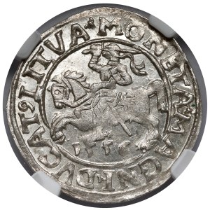Zygmunt II August, Półgrosz Wilno 1556