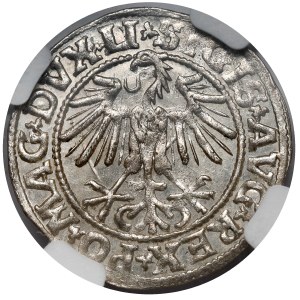 Zygmunt II August, Półgrosz Wilno 1549