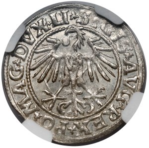 Sigismond II Auguste, demi-penny Vilnius 1549 - début