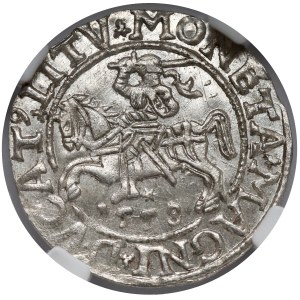 Zygmunt II August, Półgrosz Wilno 1558