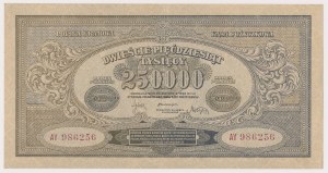 250,000 mark 1923 - AY - wide numbering