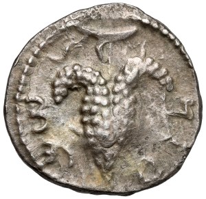 Judaea, Rise of Bar-Kochba (132-135 AD) AR Zuz (year 3)